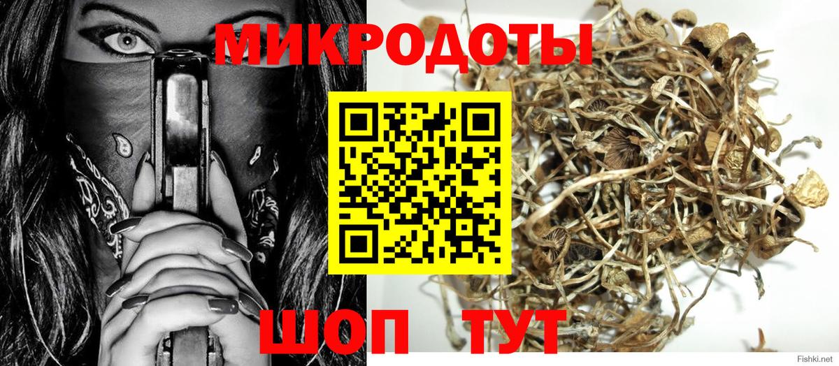 Волхов  Галлюциногенные грибы ЛСД  сколько стоит  Вход с VPN 